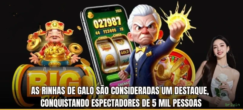 Comparação APP mobile vs versão web da brlwin